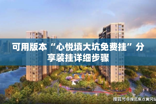 可用版本“心悦填大坑免费挂”分享装挂详细步骤