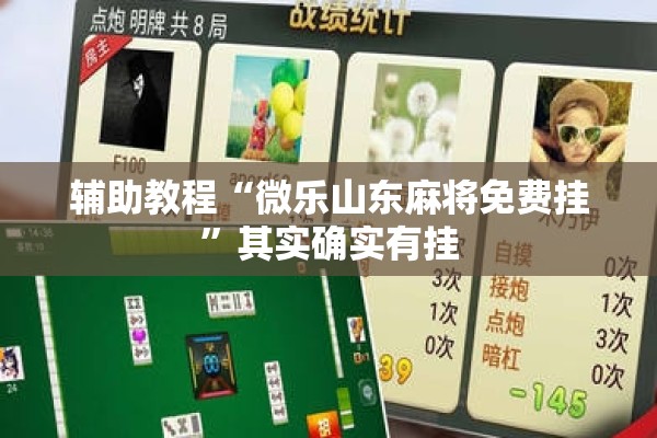 辅助教程“微乐山东麻将免费挂	”其实确实有挂