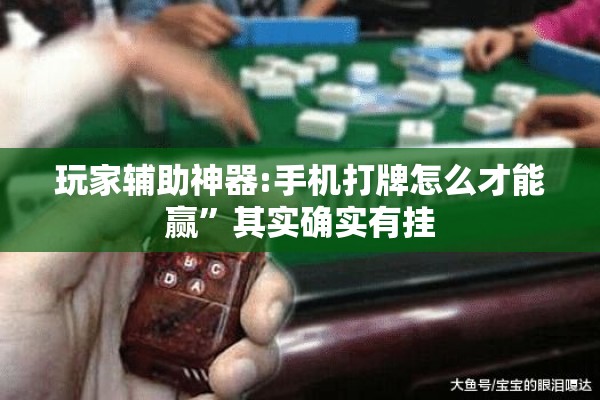 玩家辅助神器:手机打牌怎么才能赢”其实确实有挂