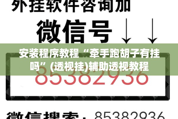 安装程序教程“牵手跑胡子有挂吗	”(透视挂)辅助透视教程