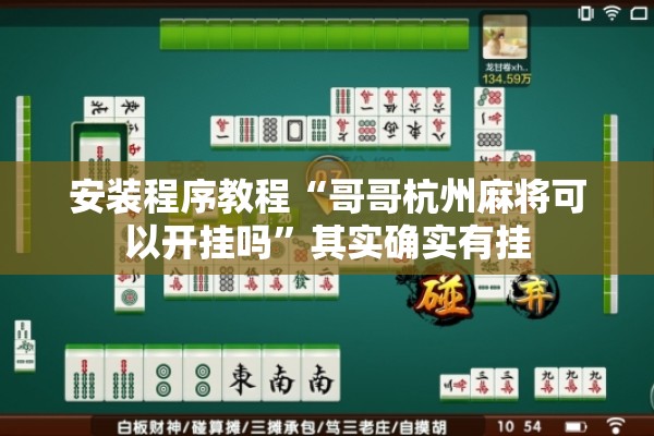 安装程序教程“哥哥杭州麻将可以开挂吗”其实确实有挂