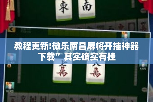 教程更新!微乐南昌麻将开挂神器下载	”其实确实有挂