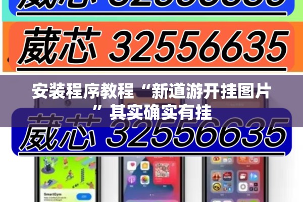 安装程序教程“新道游开挂图片”其实确实有挂