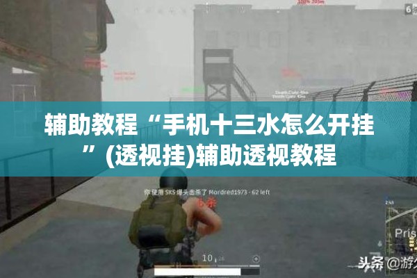 辅助教程“手机十三水怎么开挂”(透视挂)辅助透视教程