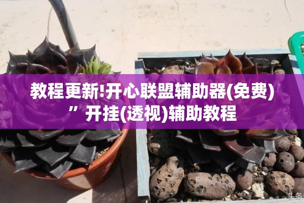 教程更新!开心联盟辅助器(免费)”开挂(透视)辅助教程