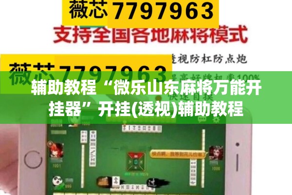 辅助教程“微乐山东麻将万能开挂器	”开挂(透视)辅助教程