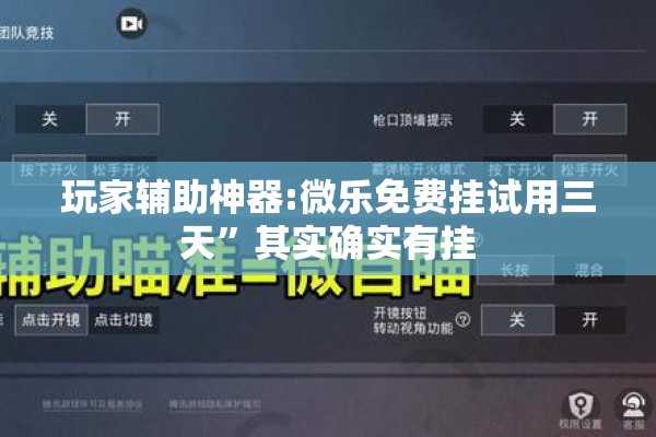 玩家辅助神器:微乐免费挂试用三天	”其实确实有挂