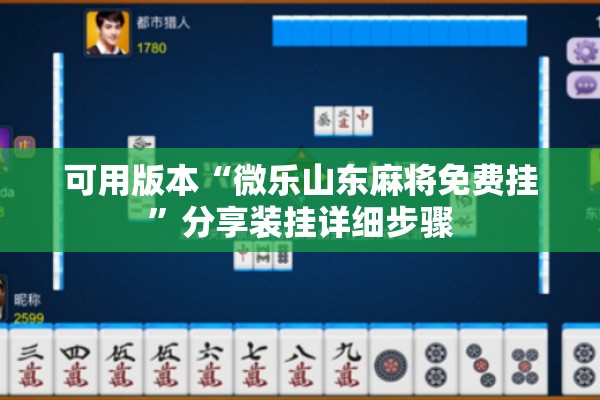 可用版本“微乐山东麻将免费挂”分享装挂详细步骤
