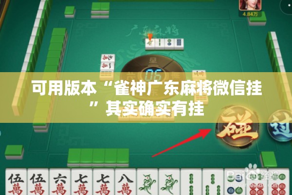 可用版本“雀神广东麻将微信挂	”其实确实有挂