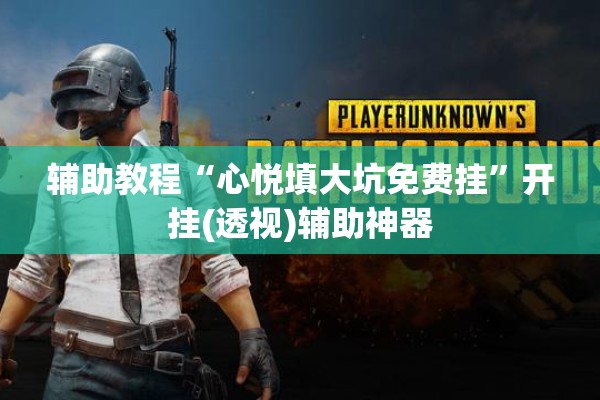 辅助教程“心悦填大坑免费挂”开挂(透视)辅助神器