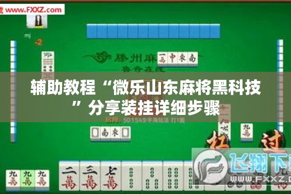 辅助教程“微乐山东麻将黑科技	”分享装挂详细步骤