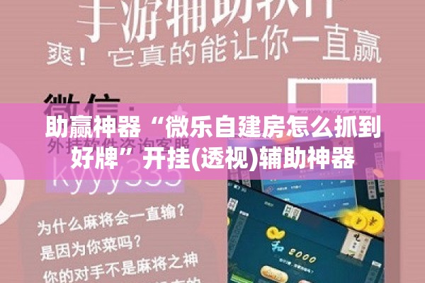 助赢神器“微乐自建房怎么抓到好牌”开挂(透视)辅助神器