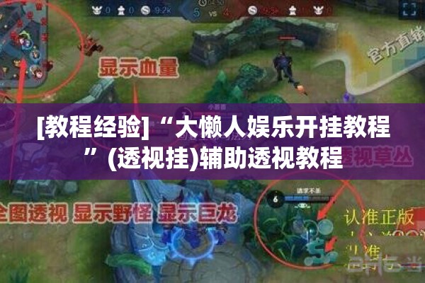 [教程经验]“大懒人娱乐开挂教程”(透视挂)辅助透视教程