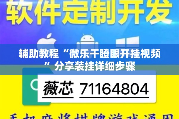 辅助教程“微乐干瞪眼开挂视频”分享装挂详细步骤
