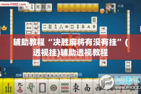 辅助教程“决胜麻将有没有挂”(透视挂)辅助透视教程