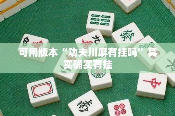 可用版本“功夫川麻有挂吗	”其实确实有挂