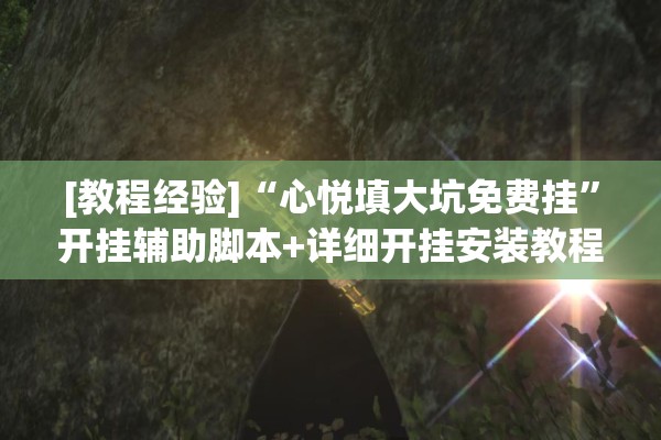 [教程经验]“心悦填大坑免费挂	”开挂辅助脚本+详细开挂安装教程