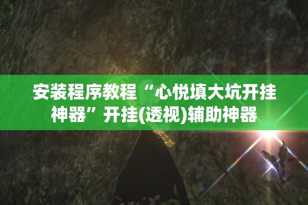 安装程序教程“心悦填大坑开挂神器”开挂(透视)辅助神器
