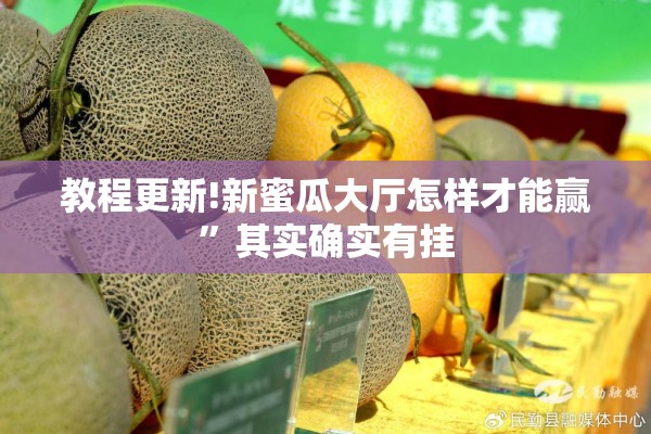 教程更新!新蜜瓜大厅怎样才能赢	”其实确实有挂