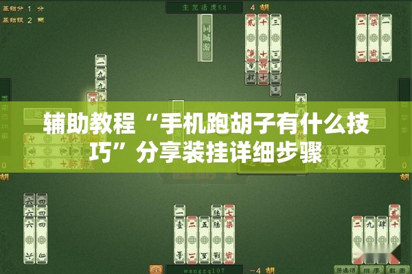 辅助教程“手机跑胡子有什么技巧	”分享装挂详细步骤