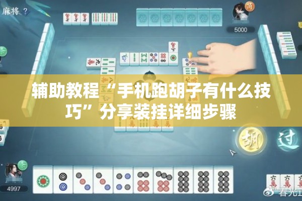 辅助教程“手机跑胡子有什么技巧”分享装挂详细步骤