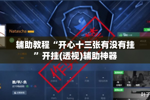 辅助教程“开心十三张有没有挂”开挂(透视)辅助神器