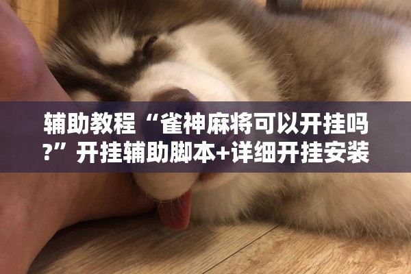 辅助教程“雀神麻将可以开挂吗?	”开挂辅助脚本+详细开挂安装教程
