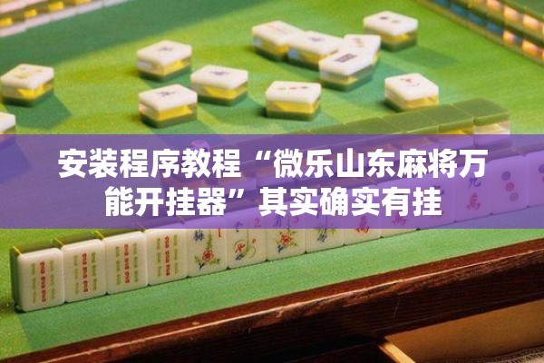 安装程序教程“微乐山东麻将万能开挂器”其实确实有挂