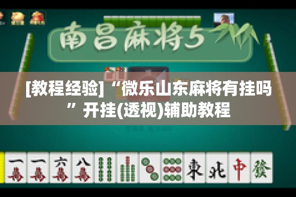 [教程经验]“微乐山东麻将有挂吗”开挂(透视)辅助教程