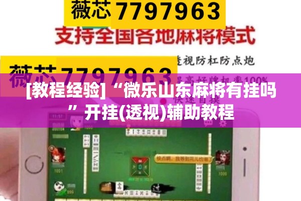 [教程经验]“微乐山东麻将有挂吗	”开挂(透视)辅助教程