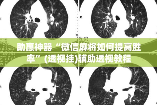 助赢神器“微信麻将如何提高胜率”(透视挂)辅助透视教程