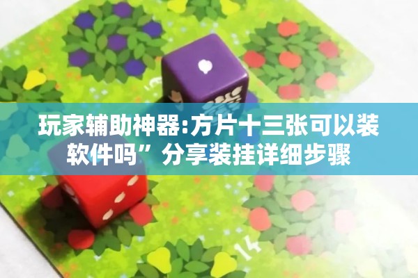 玩家辅助神器:方片十三张可以装软件吗”分享装挂详细步骤