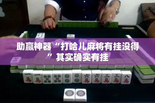 助赢神器“打哈儿麻将有挂没得”其实确实有挂