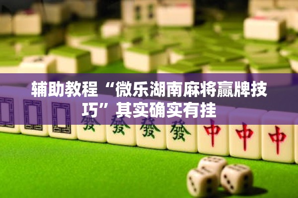 辅助教程“微乐湖南麻将赢牌技巧”其实确实有挂
