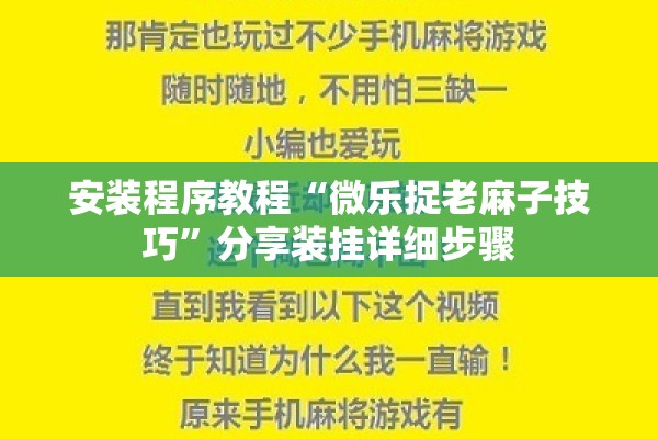安装程序教程“微乐捉老麻子技巧”分享装挂详细步骤