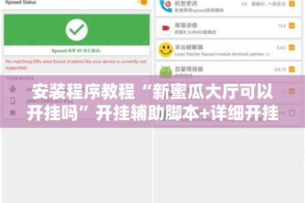安装程序教程“新蜜瓜大厅可以开挂吗	”开挂辅助脚本+详细开挂安装教程