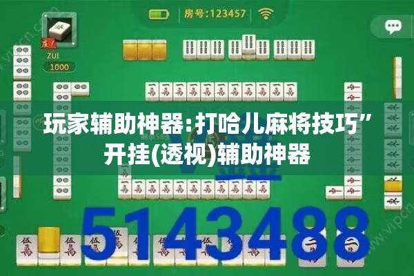 玩家辅助神器:打哈儿麻将技巧”开挂(透视)辅助神器