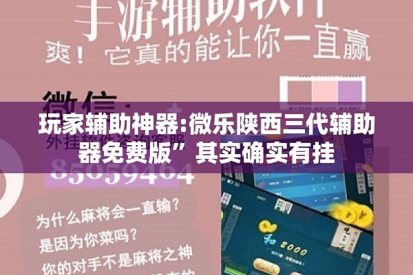 玩家辅助神器:微乐陕西三代辅助器免费版”其实确实有挂