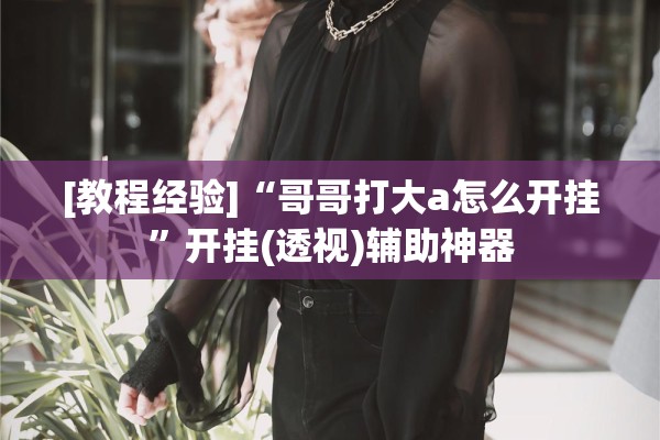 [教程经验]“哥哥打大a怎么开挂”开挂(透视)辅助神器