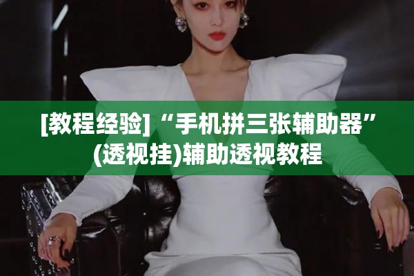 [教程经验]“手机拼三张辅助器”(透视挂)辅助透视教程