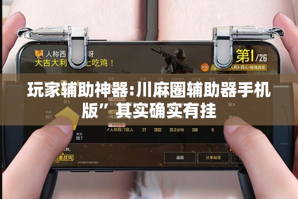 玩家辅助神器:川麻圈辅助器手机版”其实确实有挂