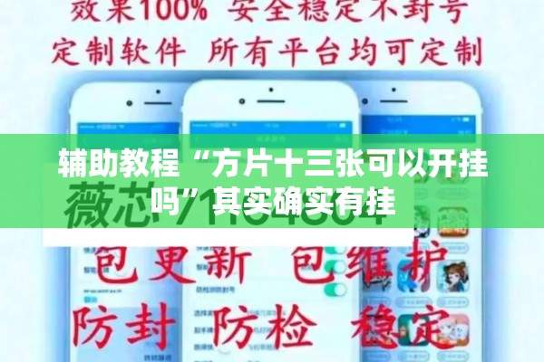 辅助教程“方片十三张可以开挂吗	”其实确实有挂