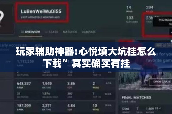玩家辅助神器:心悦填大坑挂怎么下载”其实确实有挂