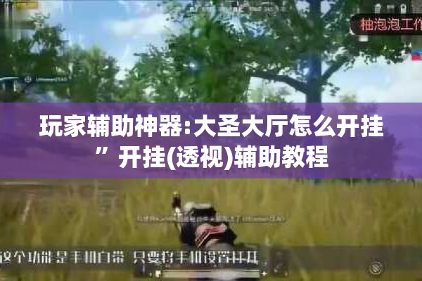 玩家辅助神器:大圣大厅怎么开挂”开挂(透视)辅助教程
