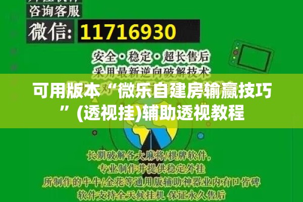 可用版本“微乐自建房输赢技巧”(透视挂)辅助透视教程
