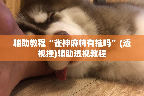 辅助教程“雀神麻将有挂吗”(透视挂)辅助透视教程