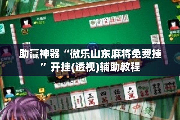助赢神器“微乐山东麻将免费挂”开挂(透视)辅助教程