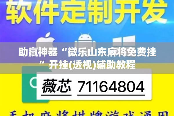 助赢神器“微乐山东麻将免费挂”开挂(透视)辅助教程