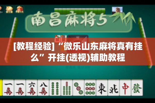 [教程经验]“微乐山东麻将真有挂么”开挂(透视)辅助教程