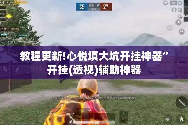 教程更新!心悦填大坑开挂神器	”开挂(透视)辅助神器